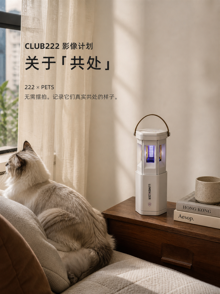 Lumenizer 与猫的日常共处